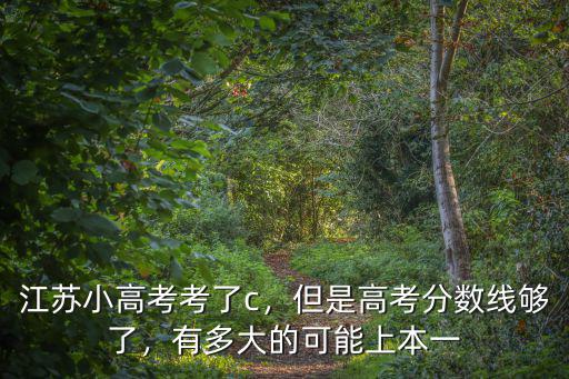 江蘇小高考多少及格,江蘇小高考考了c