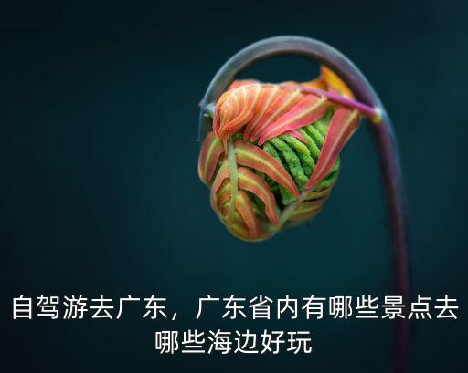 自駕游去廣東，廣東省內(nèi)有哪些景點(diǎn)去哪些海邊好玩