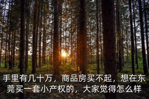 東莞長安廈邊小產權賣多少錢,東莞長安有很多小產權房在賣