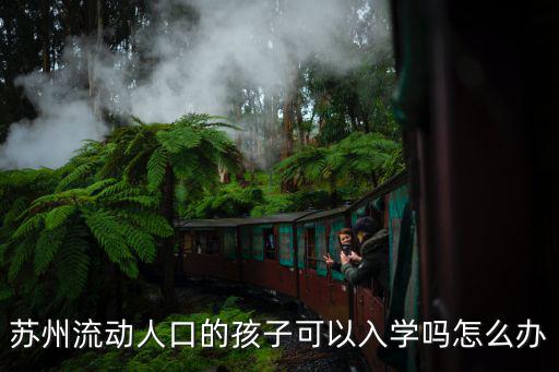 蘇州流動人口的孩子可以入學嗎怎么辦