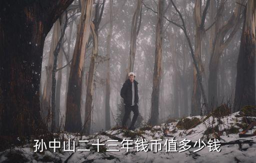 孫中山二十三年錢幣值多少錢
