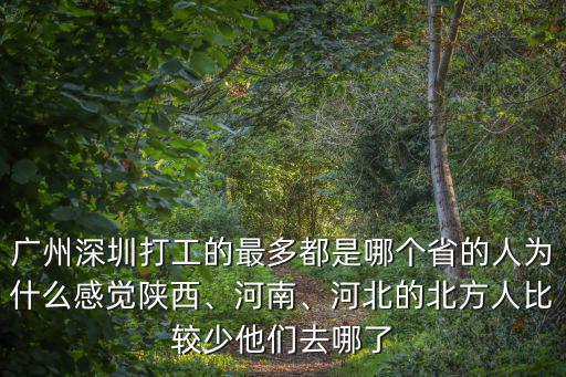2019的深圳還有多少打工的人,河北的北方人比較少