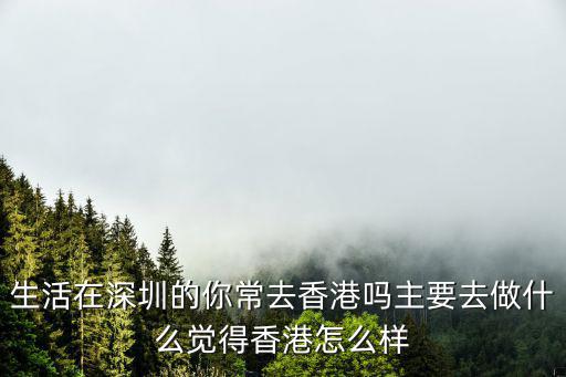 深圳海島網(wǎng)絡(luò)怎么樣,覺得香港怎么樣