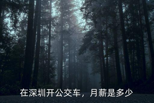 深圳公交車油費多少,在深圳開公交車