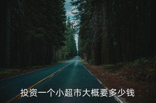 杭州開家小超市要投資多少,投資一個小超市大概要多少錢