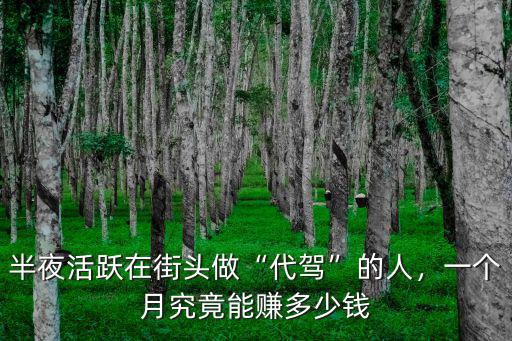 揭陽代駕一個月能掙多少錢,一個月你賺多少錢