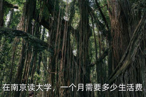 在南京讀大學(xué)，一個月需要多少生活費