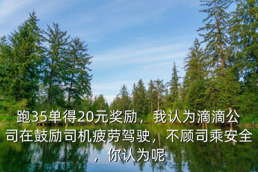 跑35單得20元獎勵，我認為滴滴公司在鼓勵司機疲勞駕駛，不顧司乘安全，你認為呢