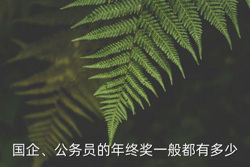 國企、公務(wù)員的年終獎一般都有多少