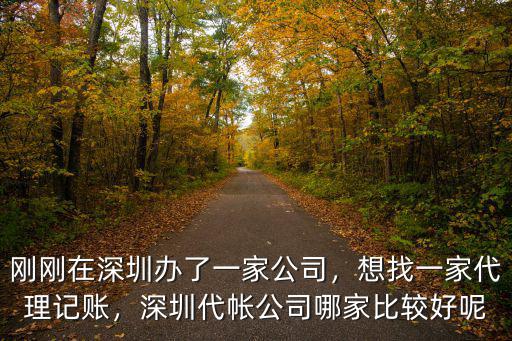 深圳一共有多少家財務代理公司,剛剛在深圳辦了一家公司