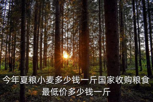 山東小麥的最新價多少錢一斤,山東菏澤小麥多少錢一斤