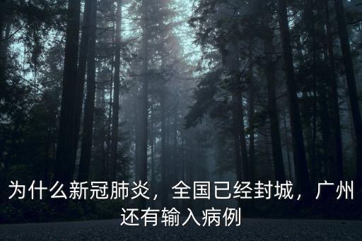 為什么新冠肺炎，全國已經封城，廣州還有輸入病例
