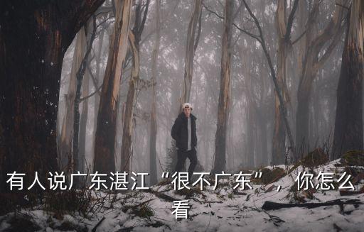 廣東湛江市現在多少度,廣東湛江這個城市怎么樣
