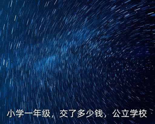 小學一年級，交了多少錢，公立學校