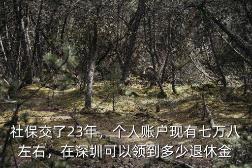 深圳個(gè)人社保退休金有多少,社保交了23年