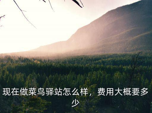 現(xiàn)在做菜鳥(niǎo)驛站怎么樣，費(fèi)用大概要多少