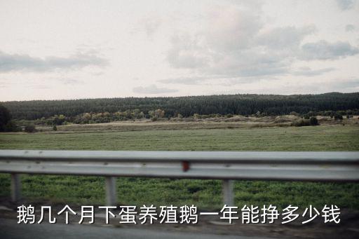 汕頭正宗獅頭鵝苗1只多少錢,哪兒賣的獅頭鵝苗最正宗