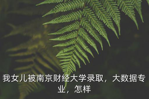 南京財經大學2019年投檔多少分,我女兒被南京財經大學錄取