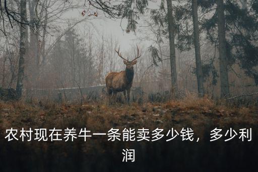 深圳養牛一個月能賺多少錢,在農村養一頭牛能賺多少錢