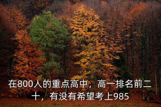 嘉興一中多少人考上985,嘉興一中和桐高哪個(gè)好點(diǎn)
