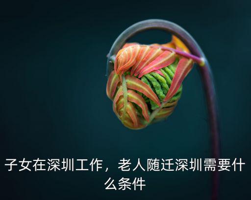 深圳招調工子女怎么一起隨遷,子女在深圳工作