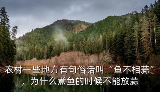 廣東人怎么煮魚最好吃,鯽魚怎么做最好吃