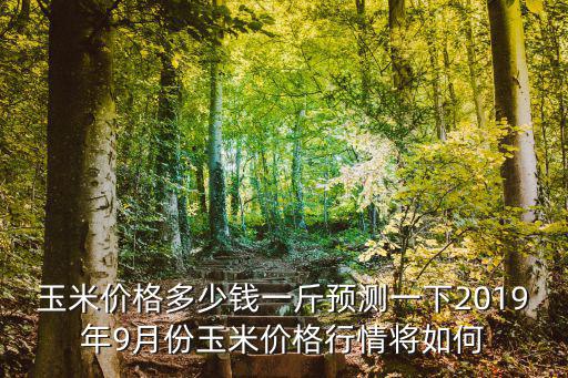 廣東甜玉米今日行情多少錢一斤,甜玉米種子多少錢一斤