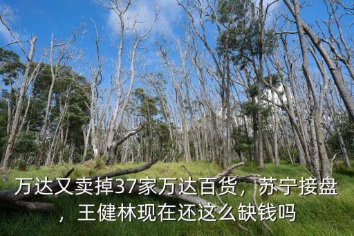 王健林賣廣東省萬達廣場多少錢,王健林出售萬達百貨