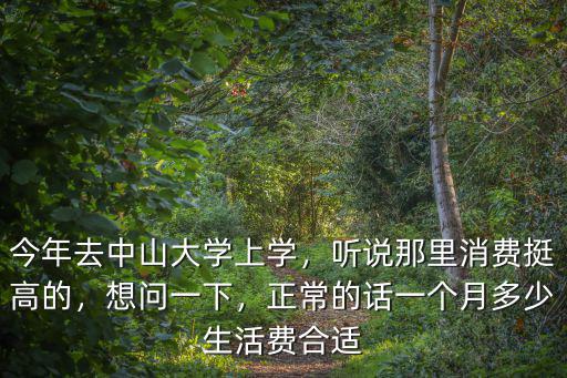 今年去中山大學上學，聽說那里消費挺高的，想問一下，正常的話一個月多少生活費合適