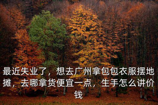 最近失業(yè)了，想去廣州拿包包衣服擺地?cái)偅ツ哪秘洷阋艘稽c(diǎn)，生手怎么講價(jià)錢