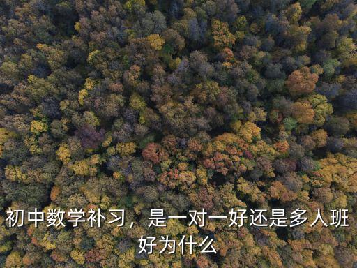 初中數(shù)學(xué)補(bǔ)習(xí)，是一對(duì)一好還是多人班好為什么