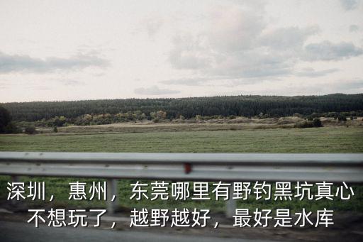 深圳，惠州，東莞哪里有野釣黑坑真心不想玩了，越野越好，最好是水庫