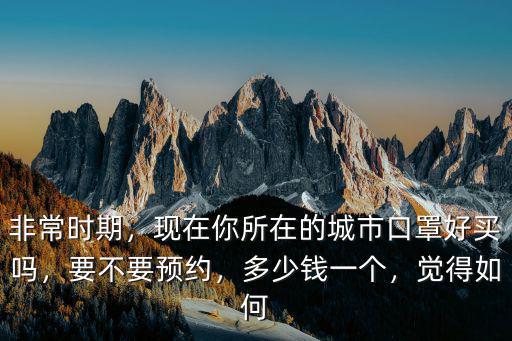 我的南京里口罩多少錢一個,一個是多少錢呢