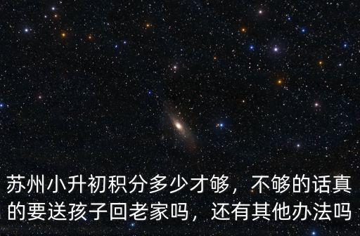 蘇州小升初積分多少才夠，不夠的話真的要送孩子回老家嗎，還有其他辦法嗎