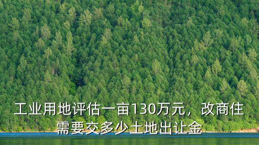 南京溧水區工業用地多少一畝地,工業用地評估一畝130萬元