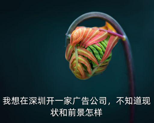深圳視次元廣告公司怎么樣,我想在深圳開一家廣告公司