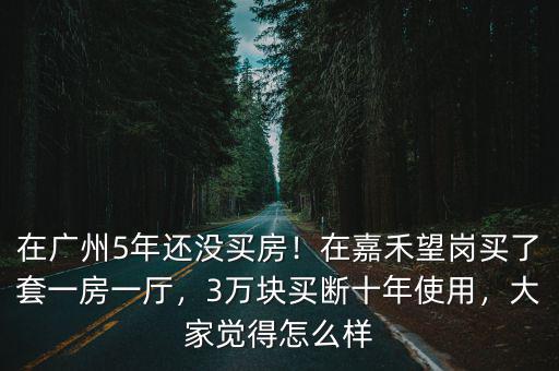 廣州嘉禾望崗房價是多少,廣州嘉禾望崗發展的怎么樣