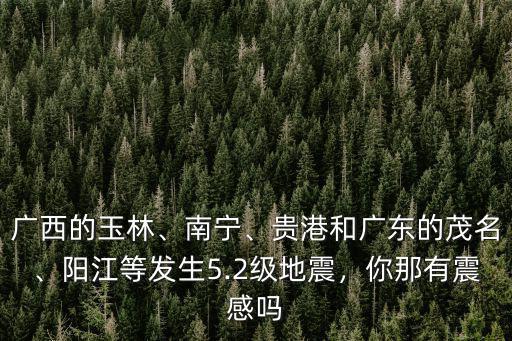 廣西的玉林、南寧、貴港和廣東的茂名、陽(yáng)江等發(fā)生5.2級(jí)地震，你那有震感嗎
