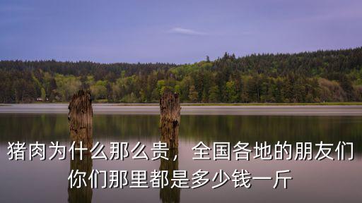 豬肉為什么那么貴，全國各地的朋友們你們那里都是多少錢一斤