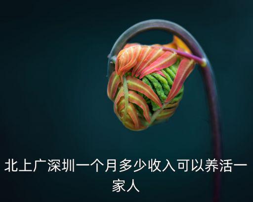 北上廣深圳一個月多少收入可以養活一家人