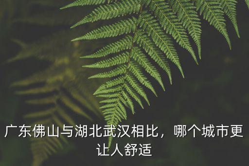 廣東佛山與湖北武漢相比，哪個城市更讓人舒適