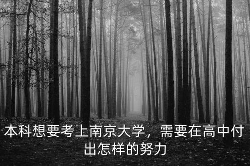 本科想要考上南京大學，需要在高中付出怎樣的努力