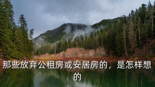 深圳安居房怎么樣算放棄一次,一家五口在深圳排隊買安居房