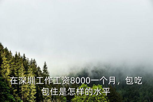 深圳社工工資有多少錢一個月,深圳普通人一個月多少工資