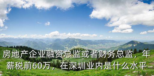 深圳工程總監級別年薪多少,總監工資多少