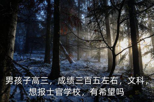 男孩子高三，成績?nèi)傥遄笥遥目疲雸笫抗賹W校，有希望嗎