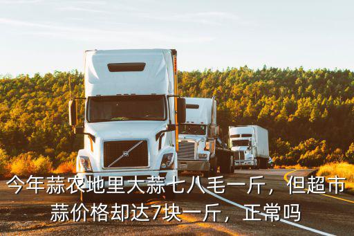 浙江紅大蒜多少錢一斤,今年大蒜多少錢一斤