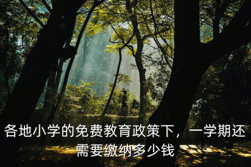 深圳小學讀一個學期多少錢,在深圳上民辦小學