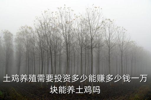土雞養(yǎng)殖需要投資多少能賺多少錢一萬塊能養(yǎng)土雞嗎