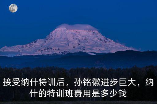 青島籃球班多少錢,納什的特訓班費用是多少錢
